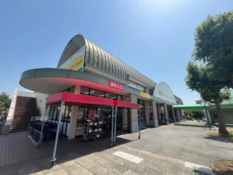 4LDK Kashiwa City Chiba Prefecture (23)