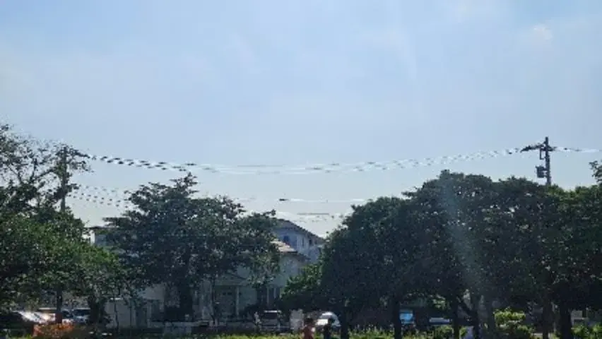 2DK物件 杉並区 東京都 (9)