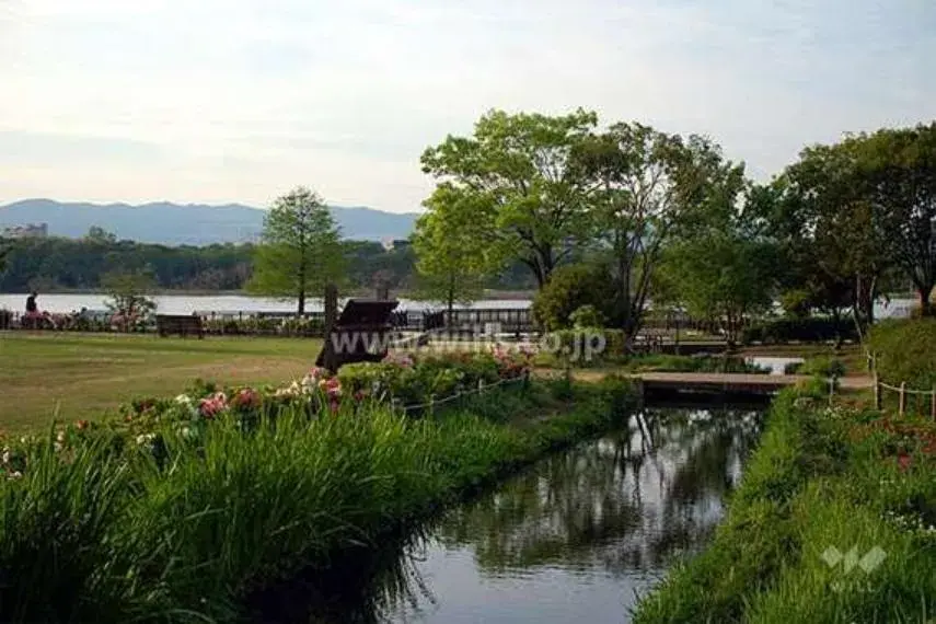 Propiedad 2DK Ciudad de Itami Prefectura de Hyogo (9)