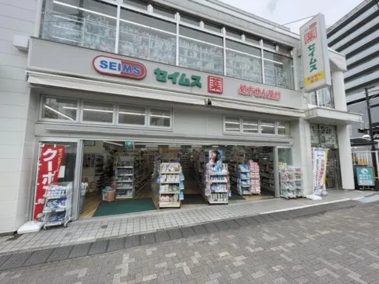 2LDK+S Shinjuku-ku Tokyo (10)