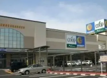 4LDK 富士市 静岡県 (19)