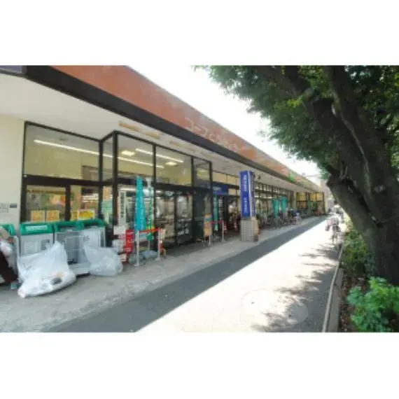 5SLDK Property Koganei City Tokyo (4)