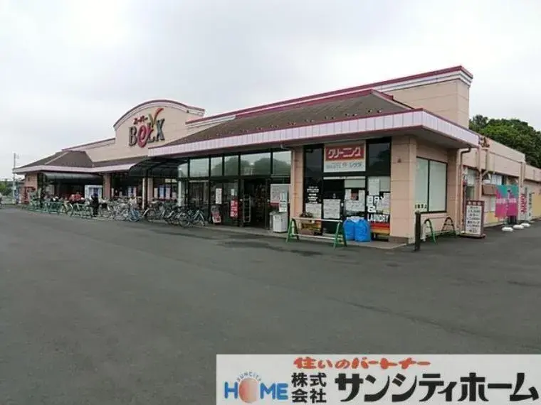 3LDK Saitama City Saitama Prefecture (6)