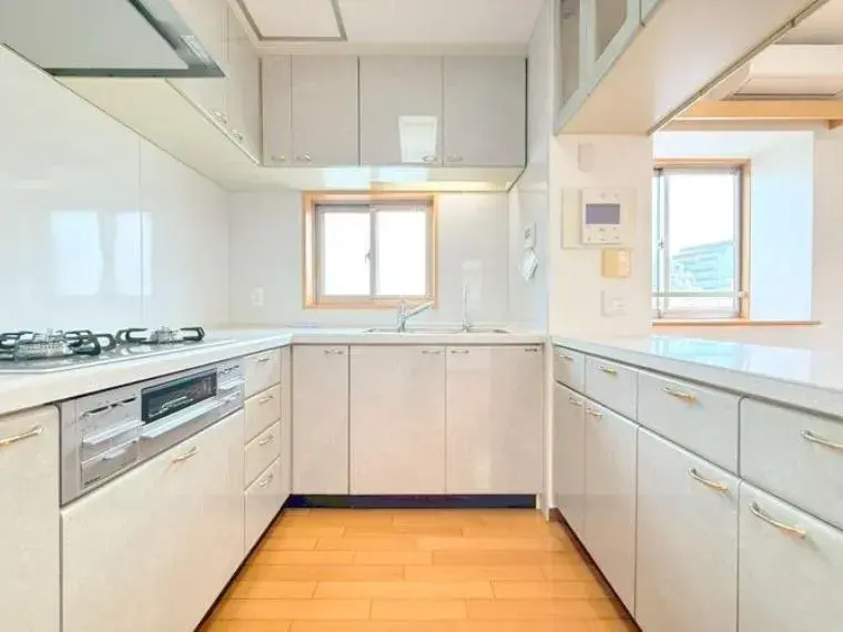 3LDK Property Shinjuku-ku Tokyo (15)