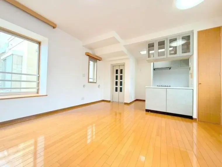 3LDK Property Shinjuku-ku Tokyo (10)