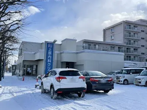 5LDK Property Sapporo City Hokkaido (13)