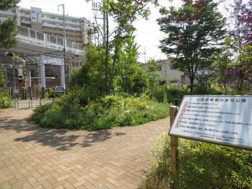 4LDK+S房产 宫城县仙台市青叶区 (20)