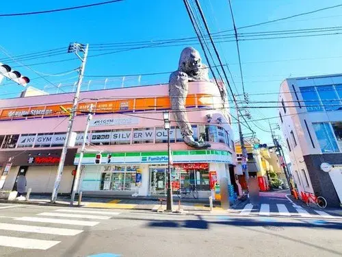 3LDK房源 东京都世田谷区 (19)
