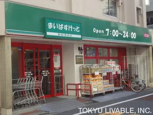 3LDK Meguro-ku Tokyo (15)