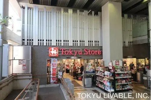 3LDK Meguro-ku Tokyo (10)