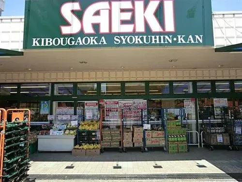 3LDK+S Property Setagaya Ward Tokyo (19)