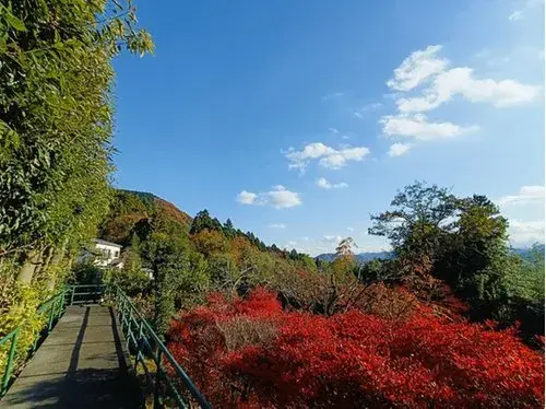 2K+S Property Sagamihara City Kanagawa Prefecture (17)