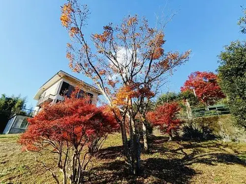 2K+S Property Sagamihara City Kanagawa Prefecture (19)