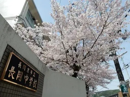 6LDK Property Nagaokakyo City Kyoto (24)