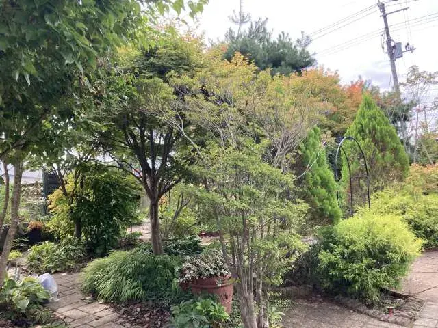 4DK Property Kitakami City Iwate Prefecture (23)