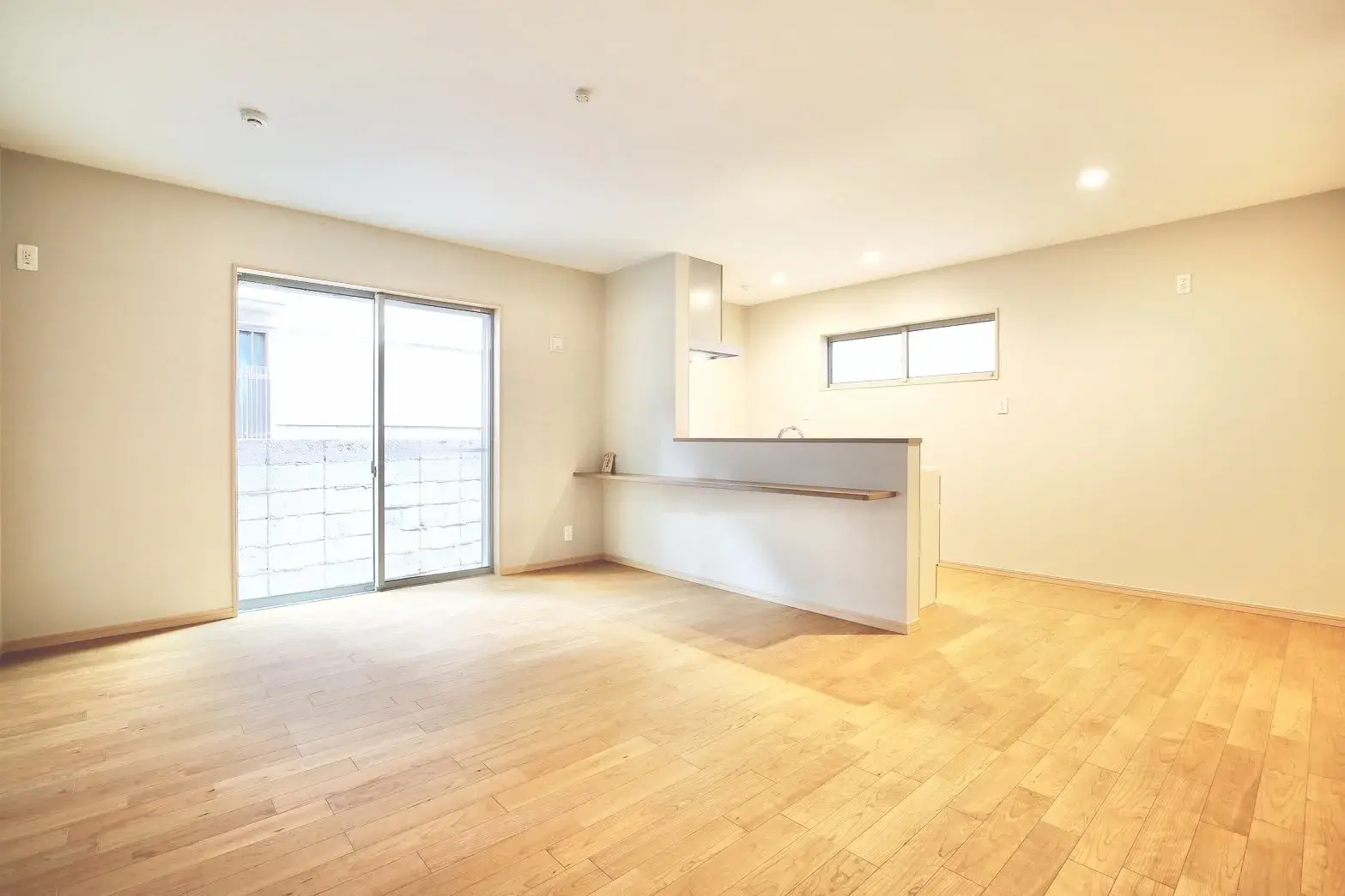 3LDK Property Arakawa-ku Tokyo (2)