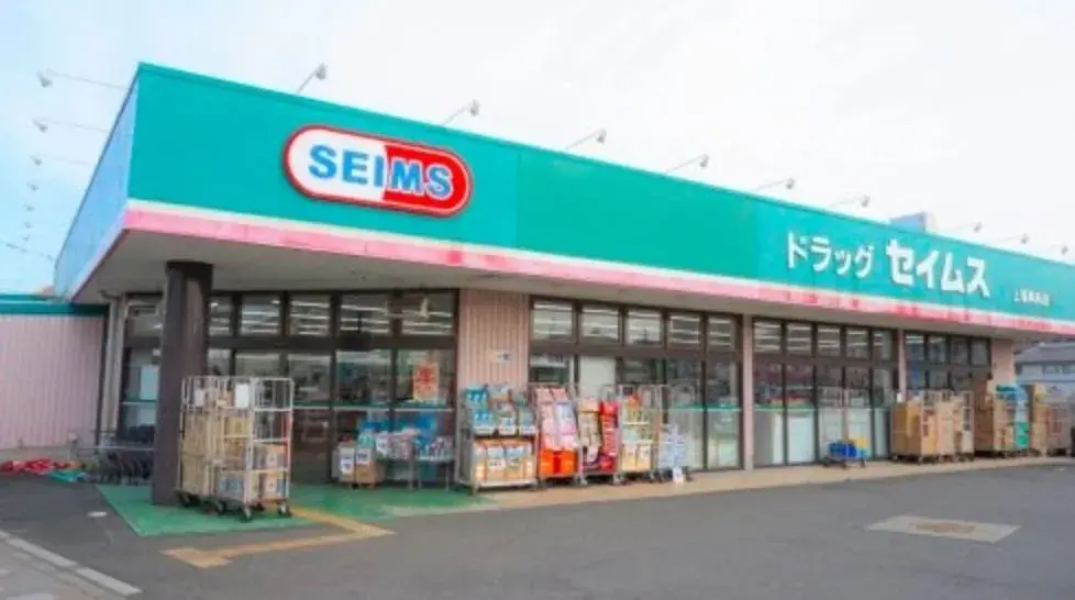 2LDK Property Kawagoe City Saitama Prefecture (12)