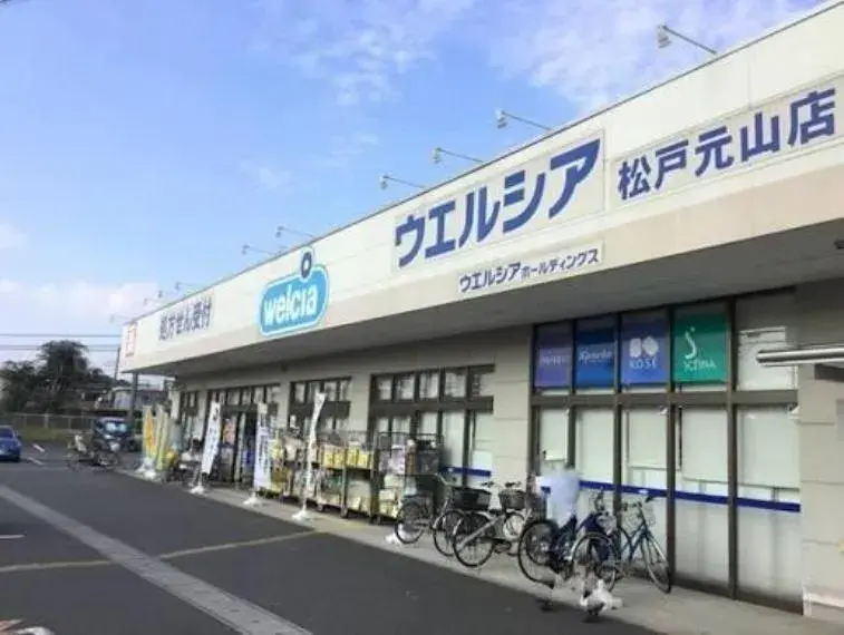 Chiba Matsudo City 3LDK Property (6)