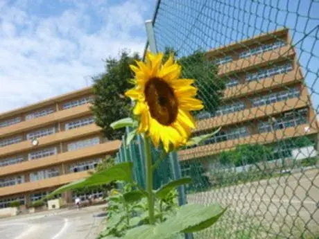 Propiedad 5LDK o más en Fujimishi, Prefectura de Saitama (6)
