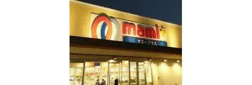 Chiba Prefecture Nagareyama City 2LDK Property (10)