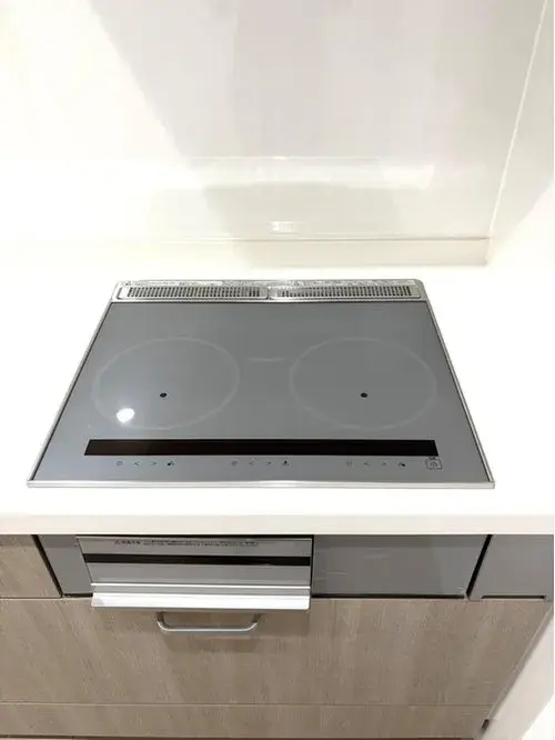 2LDK Property Matsudo City Chiba Prefecture (16)