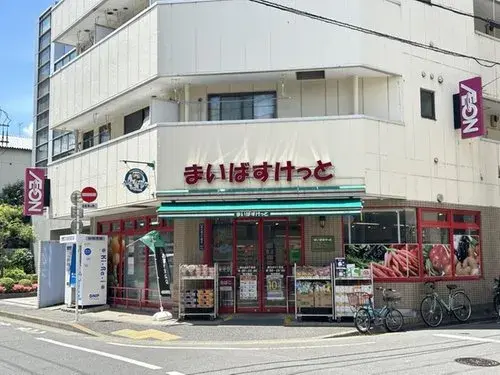 4LDK+S房产 品川区 东京都 (17)