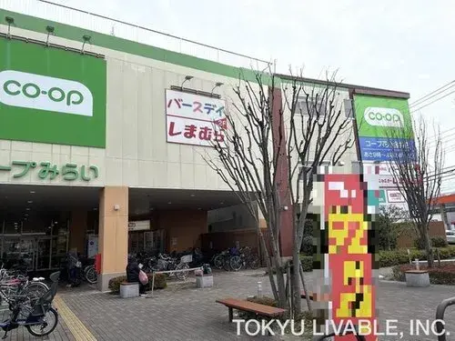 3LDK Property Kodaira City Tokyo (12)