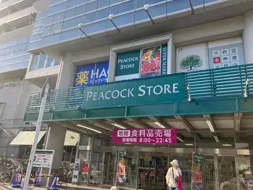 3LDK Property Nerima Ward Tokyo (7)