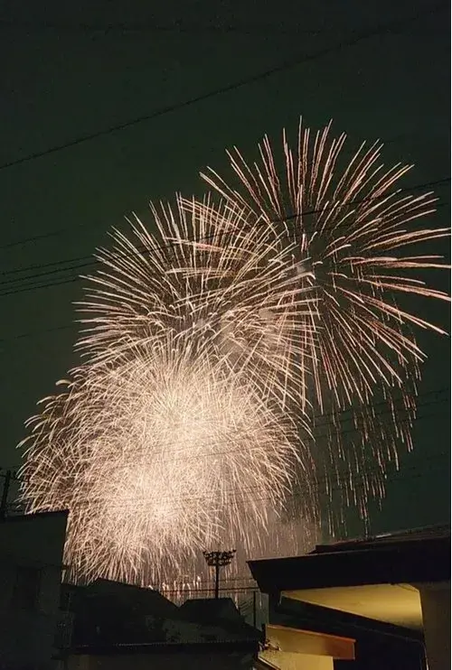 3LDK Chofu City Tokyo (17)