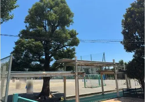 2LDK+S Property Nerima Ward Tokyo (16)