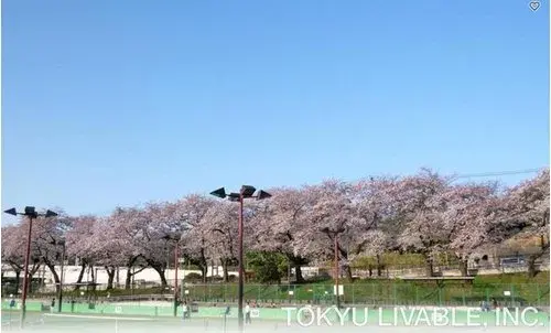 3LDK房产 横滨市神奈川区 神奈川县 (11)