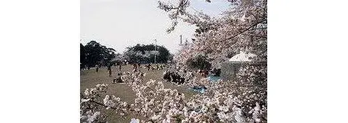 3LDK+S Ville de Niigata Akihaku Préfecture de Niigata (27)