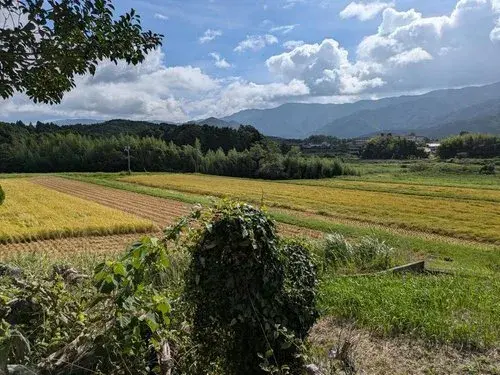 4房餐厨+储藏室 山口市 山口县 (9)