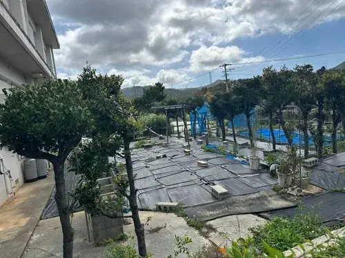 3LDK Kunigami-gun Kin-cho Okinawa Prefecture (5)