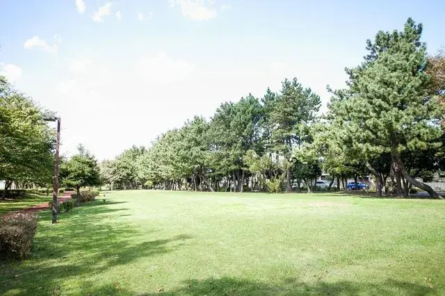 3LDK Narashino City Chiba Prefecture (9)