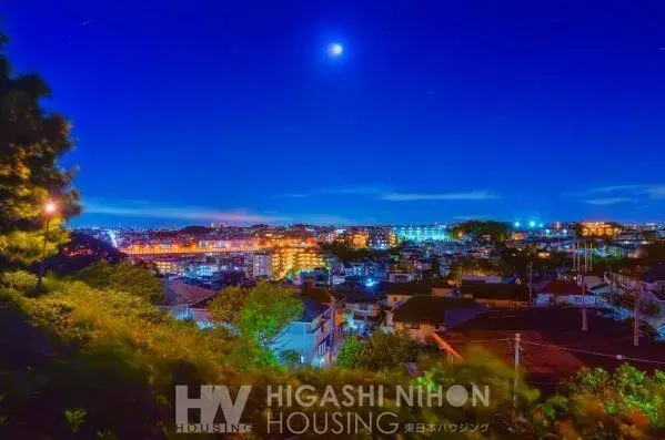 3SLDK物件 川崎市 神奈川県 (28)