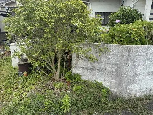 4LDK 松山市 爱媛县 (4)