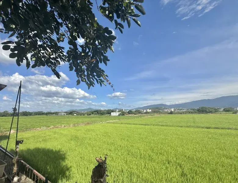 3LDK物件 糸島市 福岡県 (4)