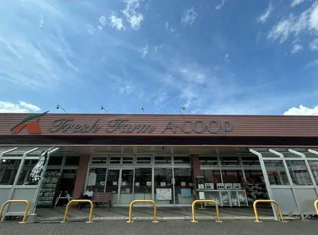3LDK Property Kanoya City Kagoshima Prefecture (19)