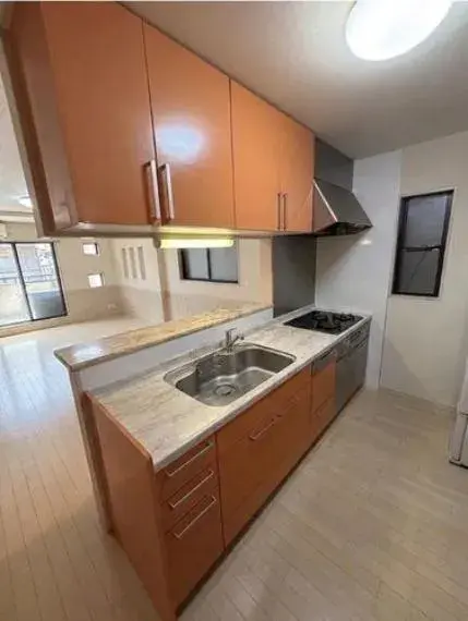 4LDK Property Osaka City Osaka Prefecture (7)