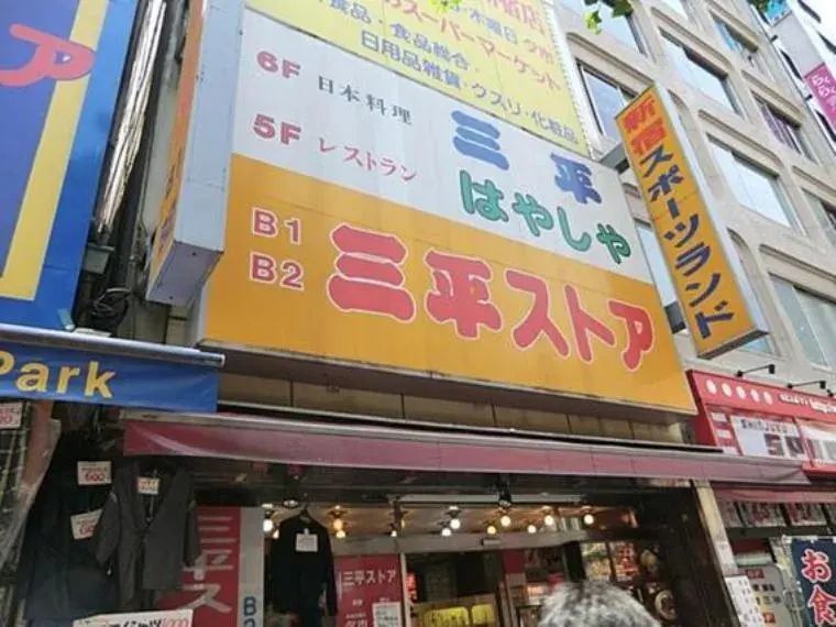2SLDK Property Shinjuku-ku Tokyo (27)