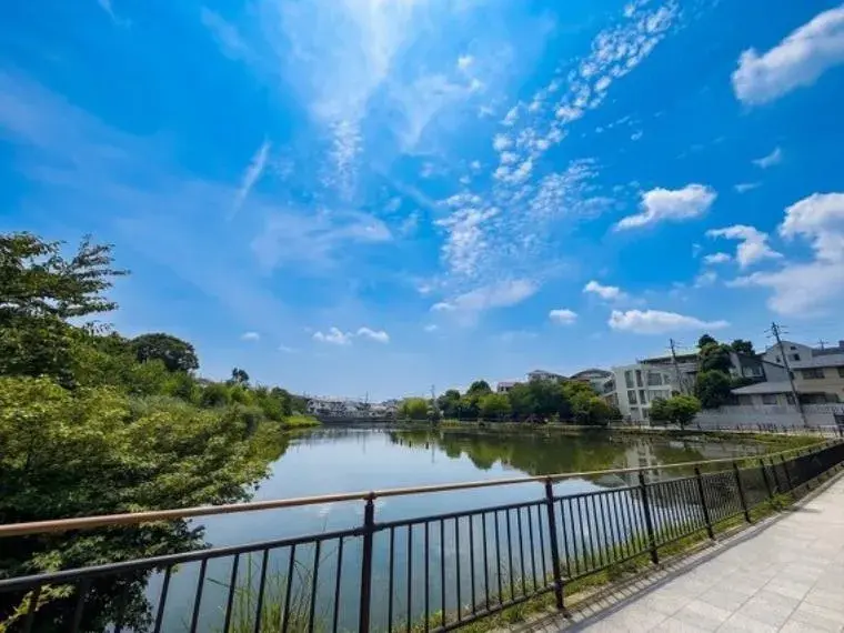 Akiya in Tokyo