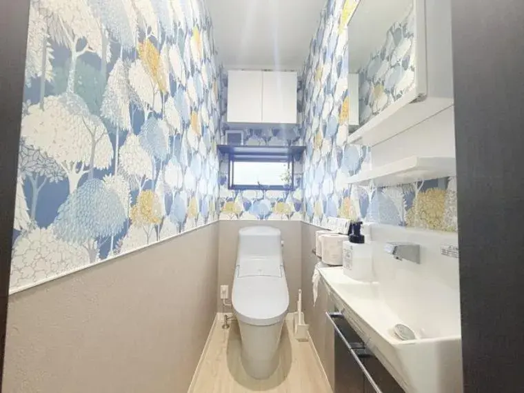 3SLDK Property Edogawa Ward Tokyo (19)