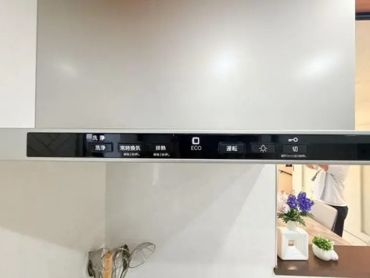 3SLDK Property Edogawa Ward Tokyo (24)