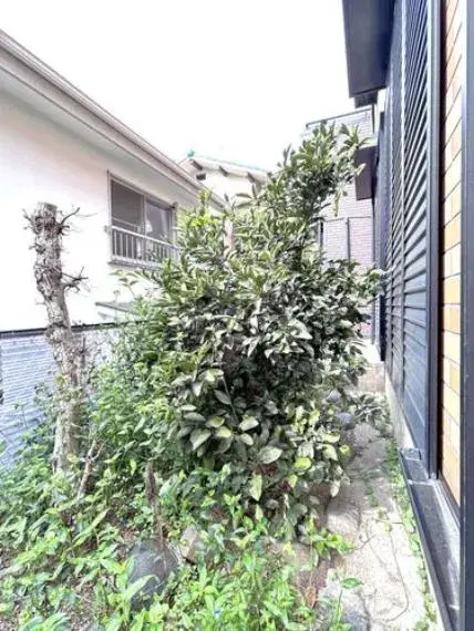 عقار 6DK مدينة Takarazuka محافظة Hyogo (6)