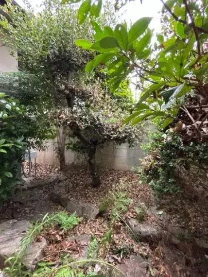 4DK Property Takamatsu City Kagawa Prefecture (24)