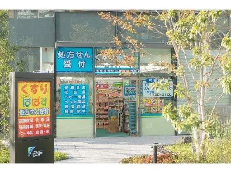 3LDK Property Arakawa-ku Tokyo (11)