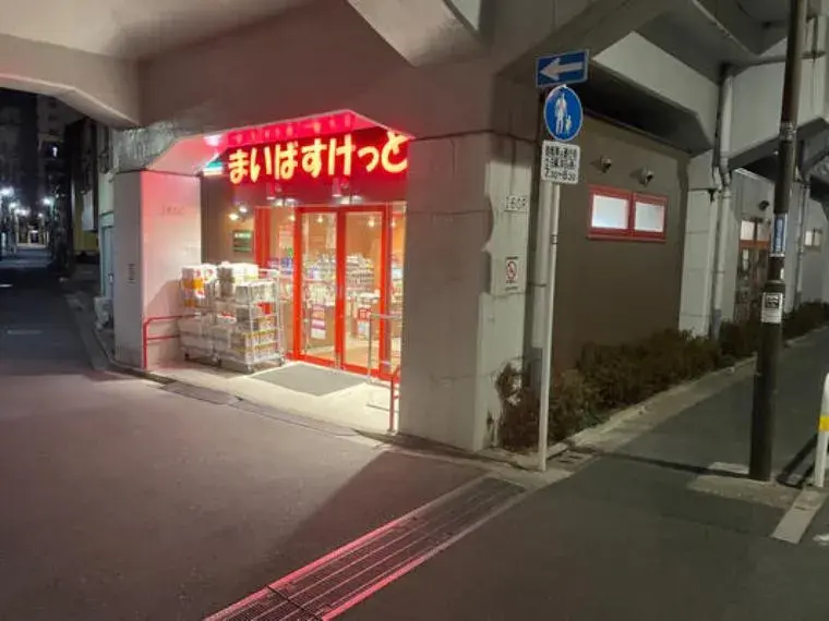3LDK Property Arakawa-ku Tokyo (3)