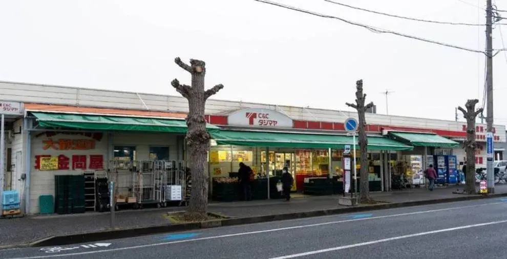 4LDK Property Chiba City Chiba (35)