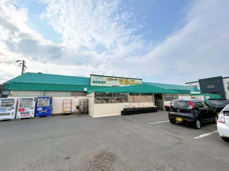 3SLDK Property Sapporo City Hokkaido (32)